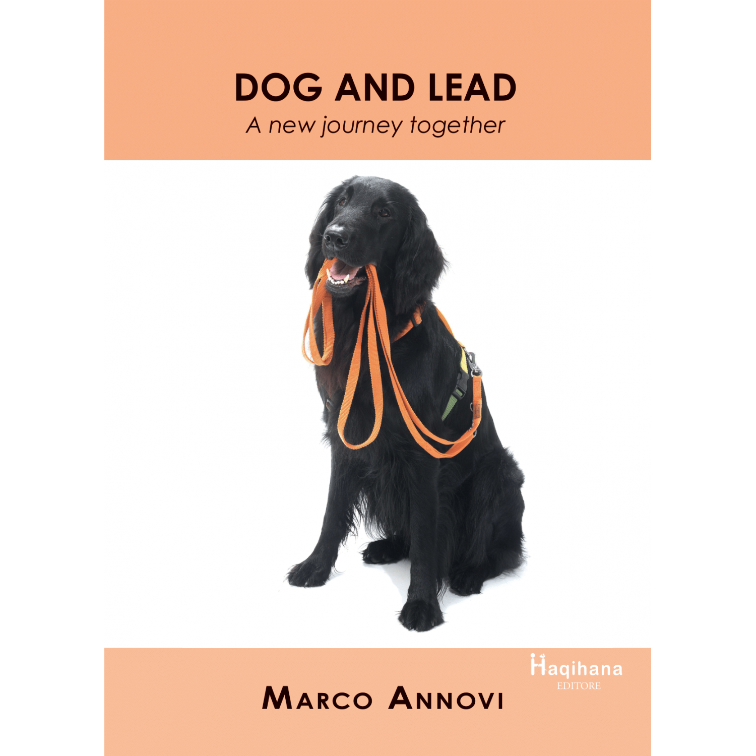 Dog and Lead - A new journey together Dog and Lead - A new journey together