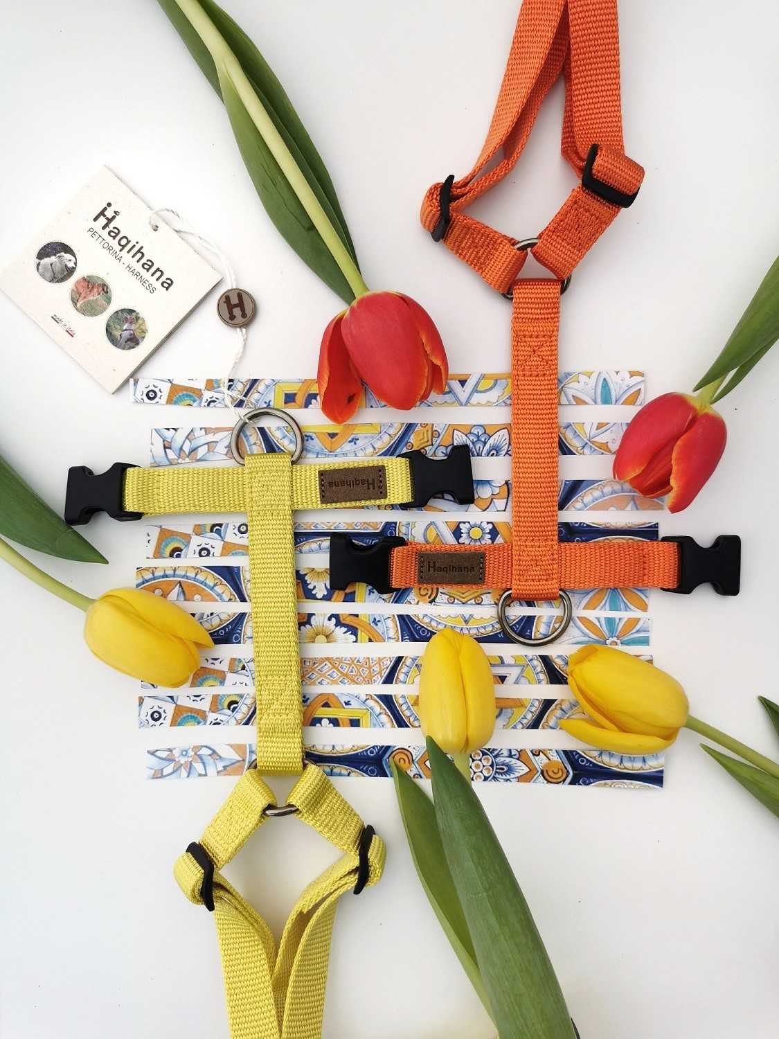 Harness Yellow