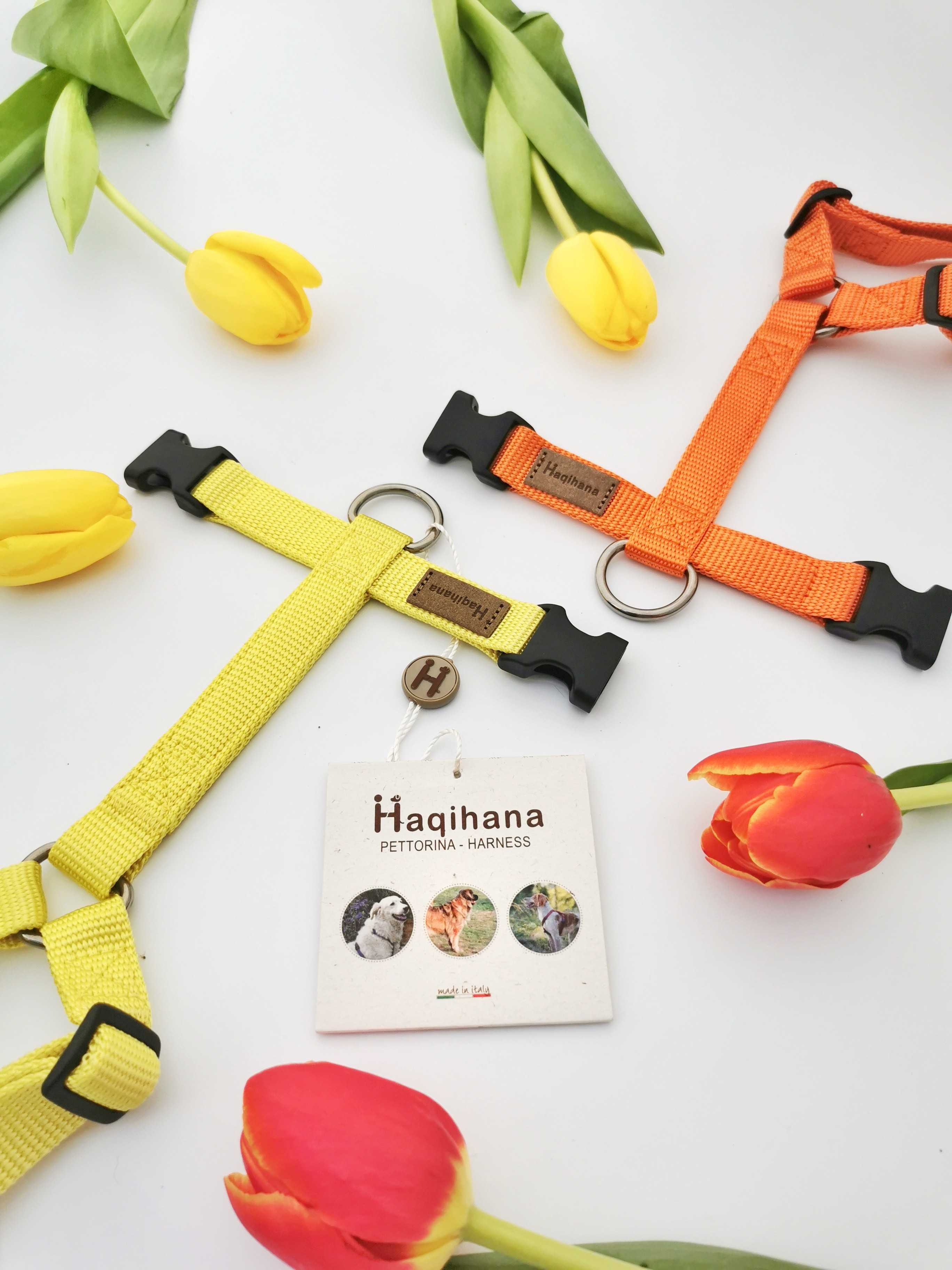 Harness Carrot