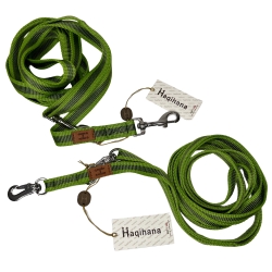 Leash Felix