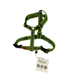 Harness FELIX