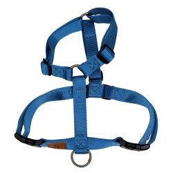 Harness Turquoise